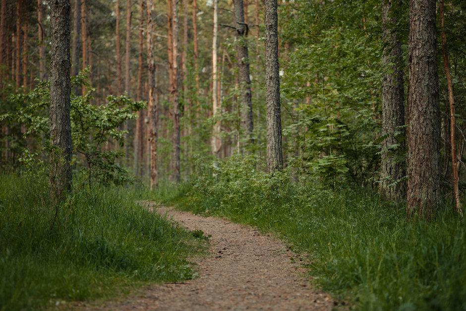 A Practical Take on A Balanced Approach To Wellness, One Step at a Time