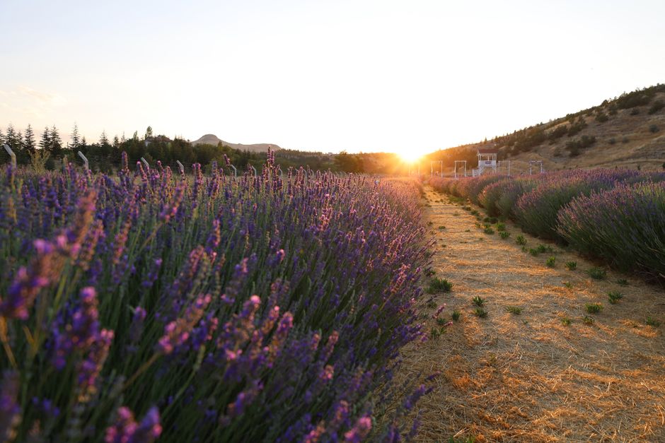 Everyday Habits Built Around A Realistic View Of Progress, the Honest Way