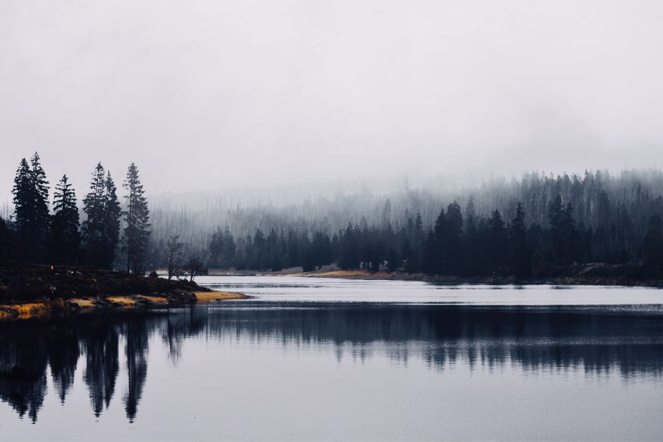 Finding Your Footing With Mental Health Is Health, for Real Life