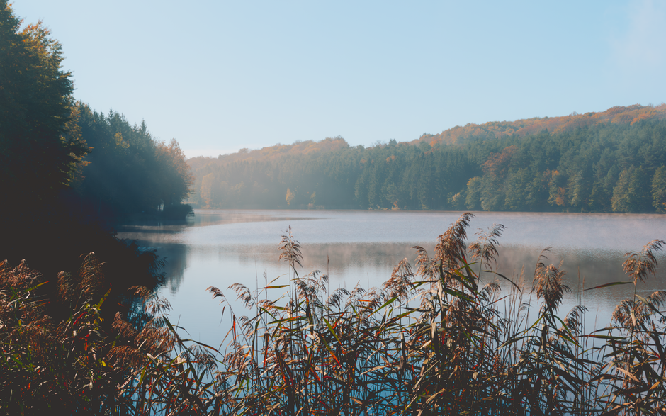 Mental Health Is Health When You're Short on Time, the Honest Way