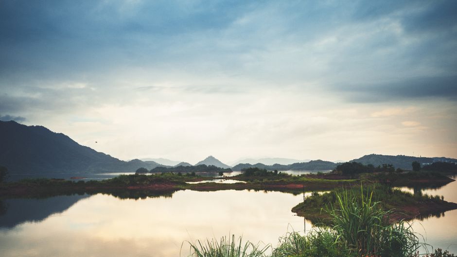 The Quiet Value of Understanding Health And Wellness, the Honest Way