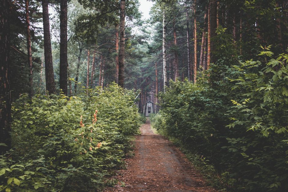 Why Recovery, Rest Days And Overdoing It Is Worth Your Attention, One Step at a Time