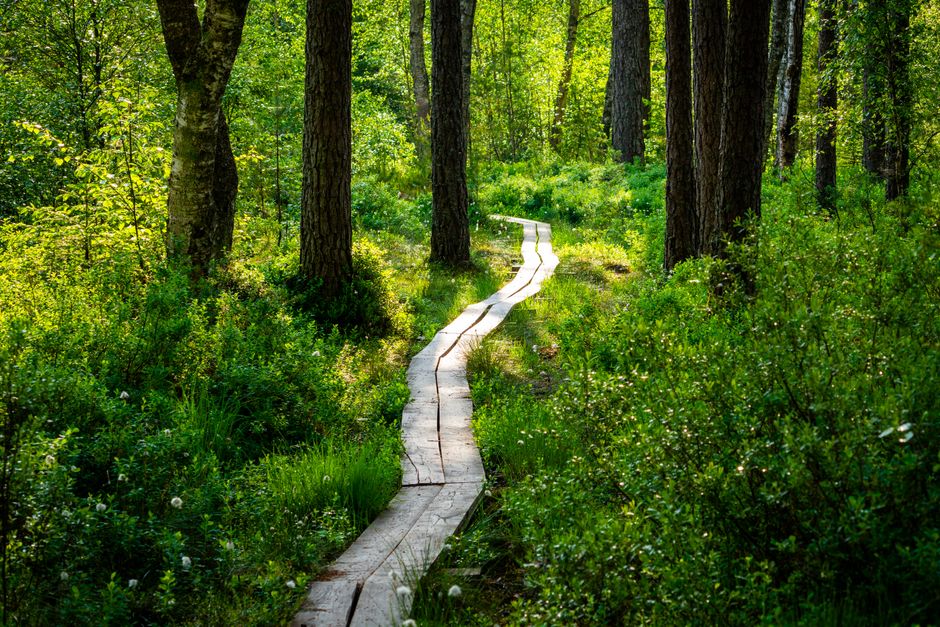 Working Wellness At Different Life Stages Into a Busy Week